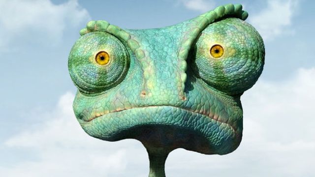 19516274_its-so-cold-frozen-iguanas-are_8e926e5d_m.jpg